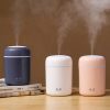 Mini-Kaltnebel Luftbefeuchter und Luftreiniger