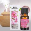 Ätherisches Duftöl für Aroma-Diffusor und Luftbefeuchter