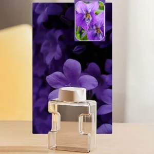 Ätherisches Duftöl für Aroma-Diffusor - Veilchen