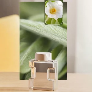 Ätherisches Duftöl für Aroma-Diffusor - Weißer Tee